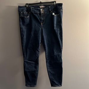 Torrid 22S jeggings